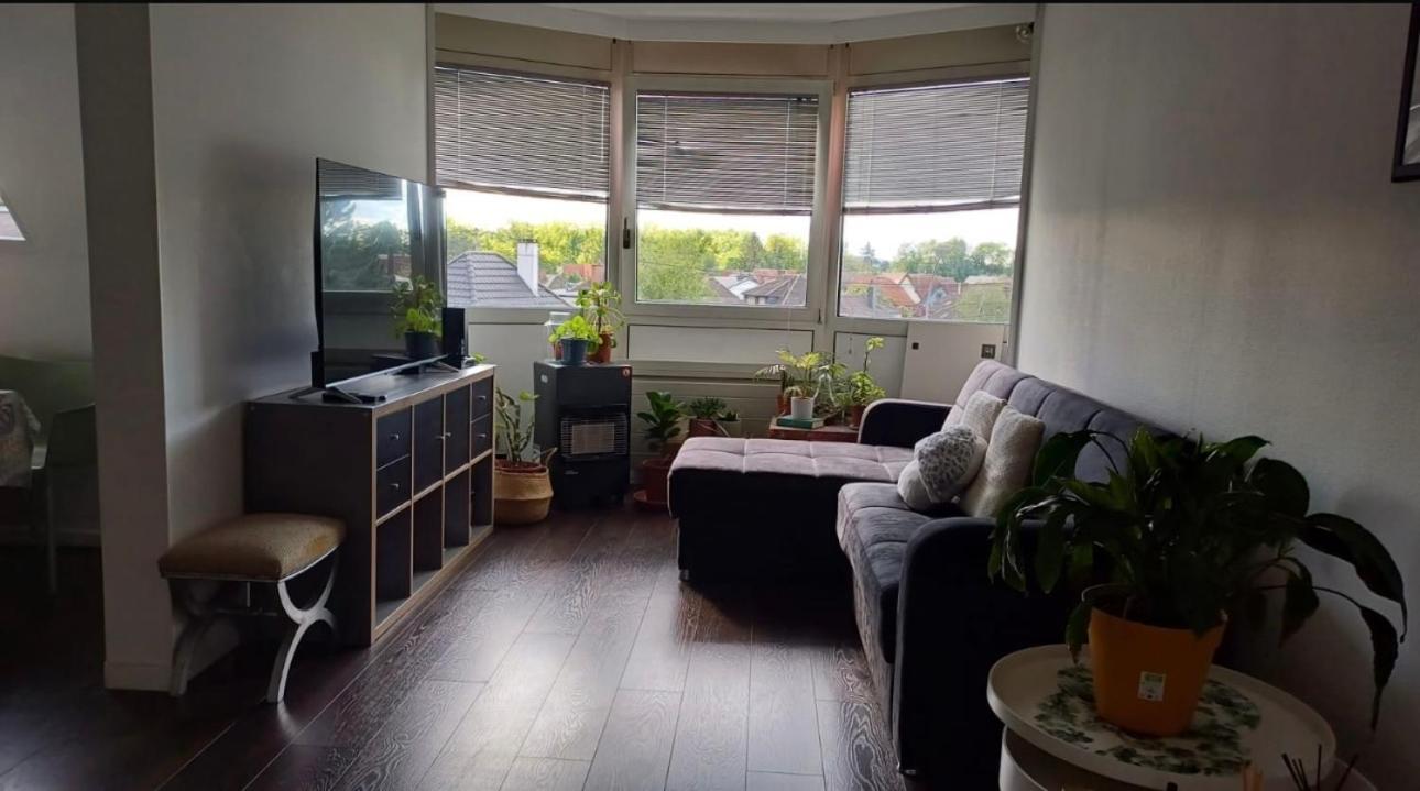 Habitacion Privada Wolfisheim المظهر الخارجي الصورة